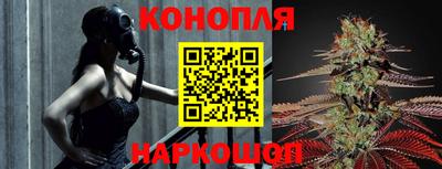ECSTASY Новозыбков