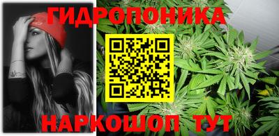 амф Новокубанск