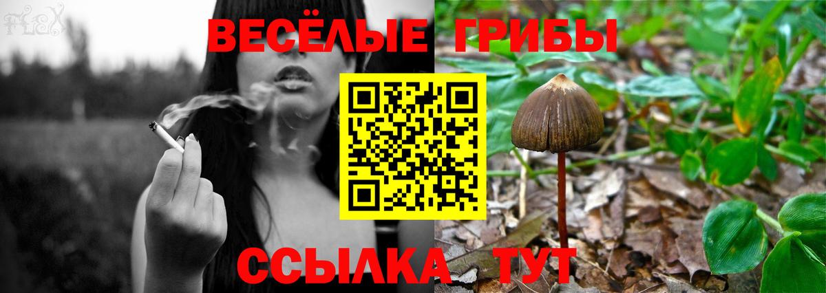 Галлюциногенные грибы GOLDEN TEACHER Новый Уренгой