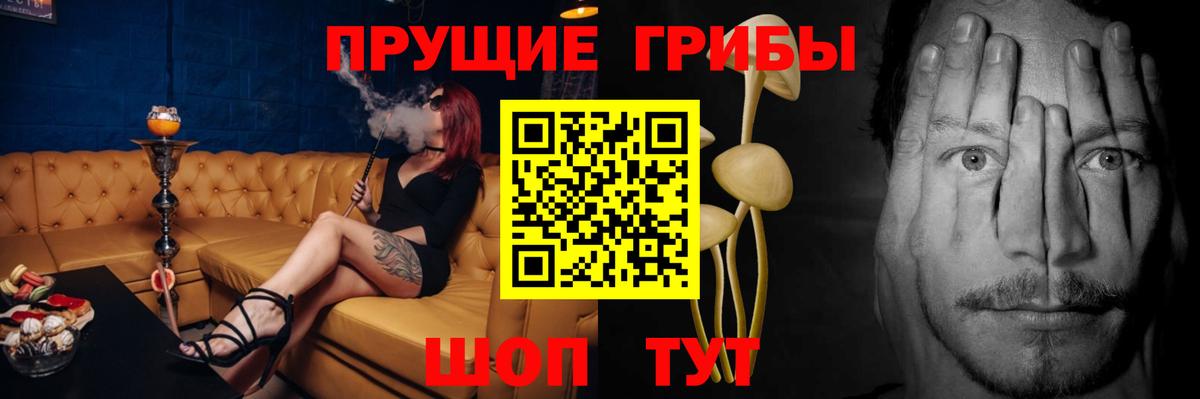 Новый Уренгой  купить   Вход с VPN  Псилоцибиновые грибы мицелий 
